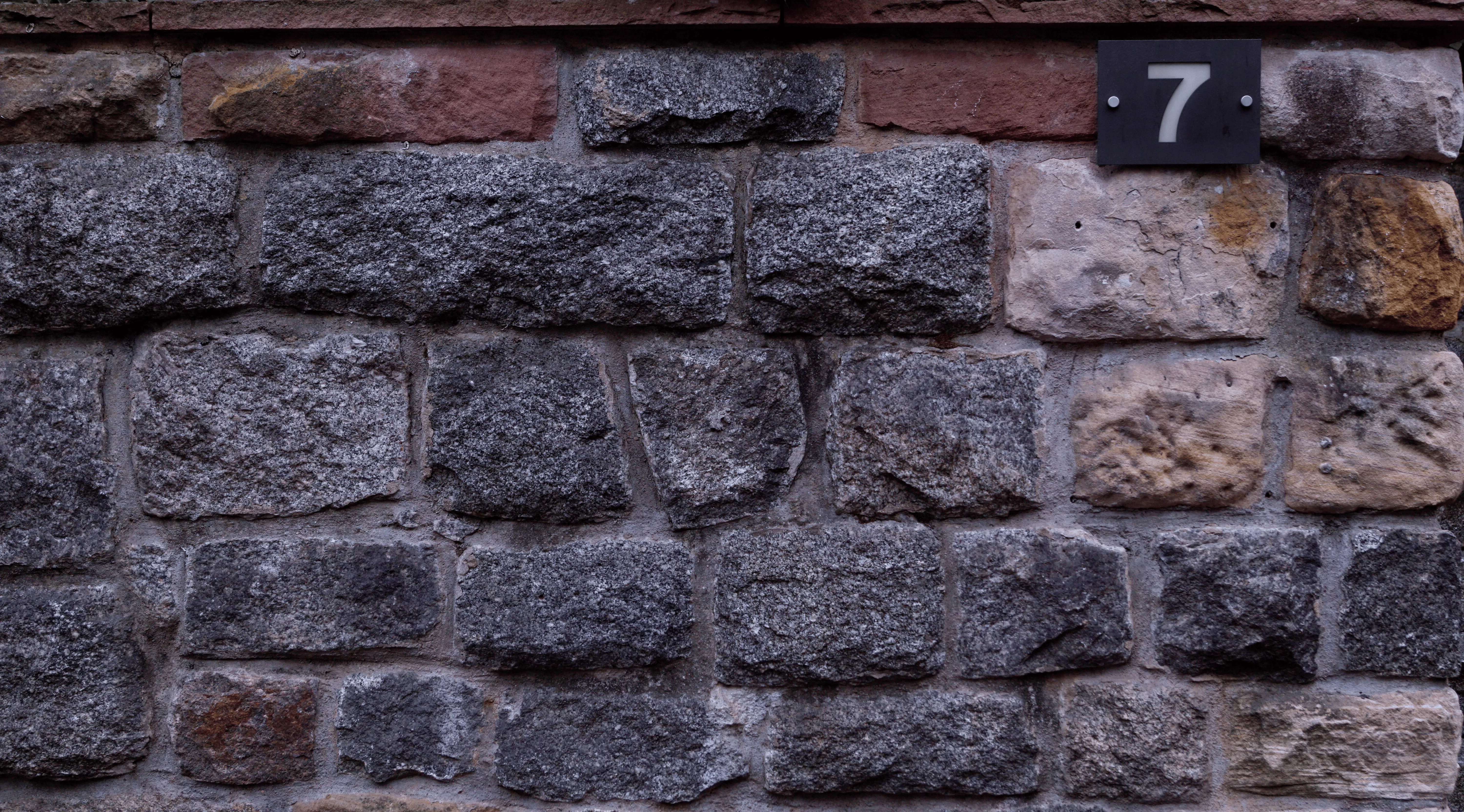 dsc3224-01-hintergrund2